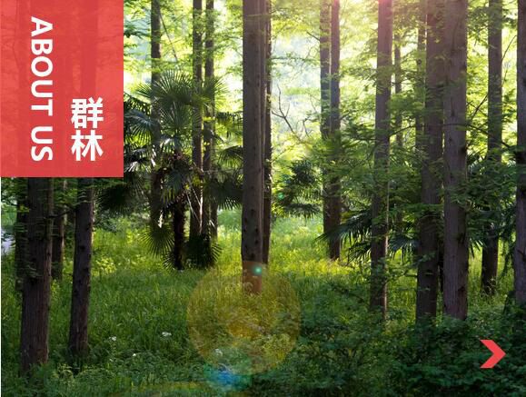 什么叫刨花板？